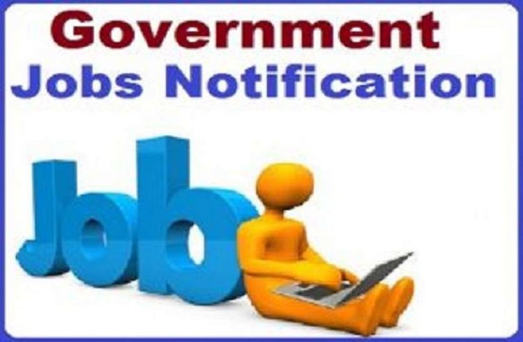 Government Job 2021: सरकारी नौकरी करना चाहते हैं तो देखें, 7वीं से लेकर ग्रेजुएशन पास तक के लिए बंपर भर्तियाँ   