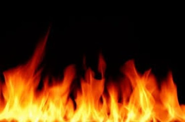 दर्दनाक हादसा: तमिलनाडु में पटाखा फैक्ट्री में लगी आग,  तीन की मौत