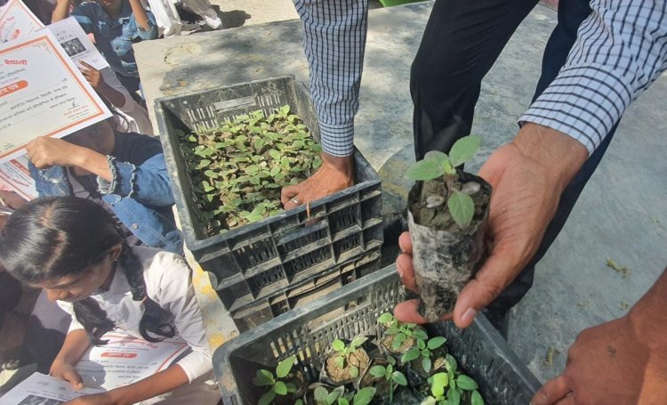 कंपोजिट स्कूल वैशाली में वितरित किए गए 450 नि:शुल्क तुलसी के पौधों