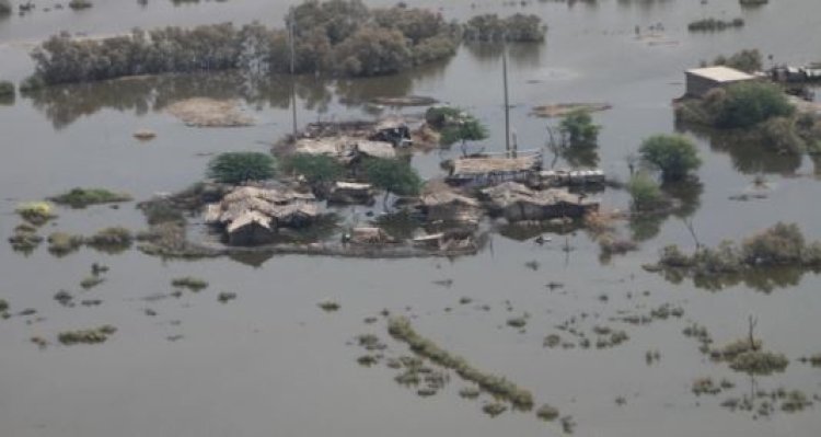 पाकिस्तान में बाढ़ से मचा हाहाकार, अब तक हो चुकी 982 लोगों की मौत