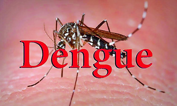 डेंगू का बढ़ रहा है कहर, जानें इससे बचने के उपाय और लक्षण