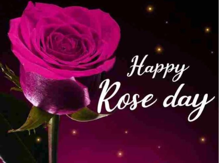 Rose Day Special : आज के दिन अपने प्यार का इज़हार के लिए गुलाब ही क्यों?